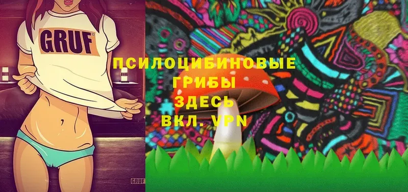 Псилоцибиновые грибы Psilocybe  mega рабочий сайт  Аксай 